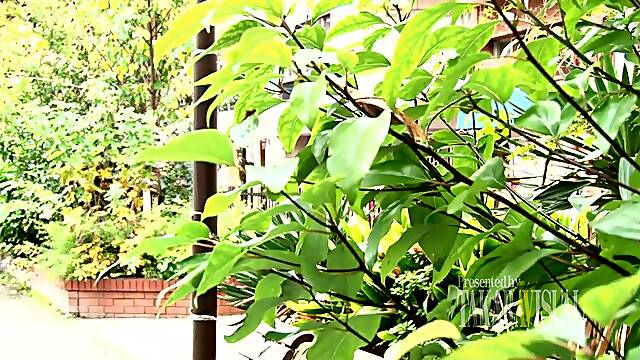 My Motherinlaw And Mother In Law - Aldn-075 Even Wants To Get Pregnant. R