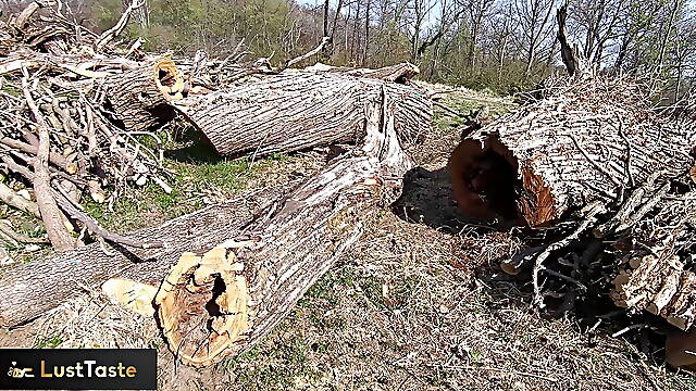 Stranger fucked me in the woods! Doggystyle and Creampie Outdoors! Natural Amateur 4K LustTaste