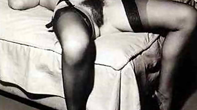 Vintage photo shoot of hairy pusses